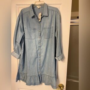 Wonderly Light Blue Denim Dress